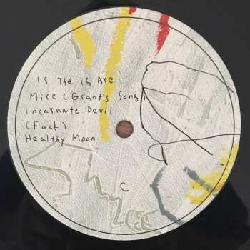 2LP DIIV: Is The Is Are