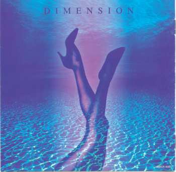 CD Dimension: First Dimension