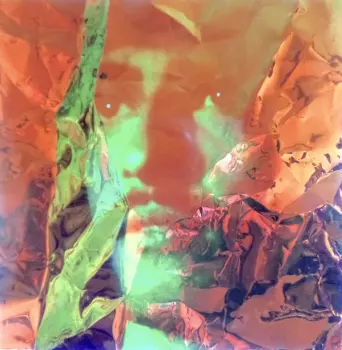 DIMORPHODONS: Searching For Dimorphodons