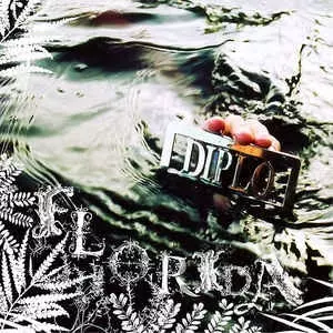 Diplo: Florida