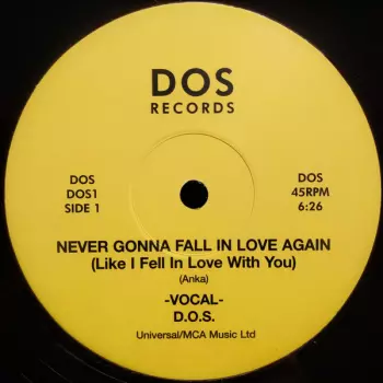 Never Gonna Fall In Love Again (Like I Fell In Love With You)