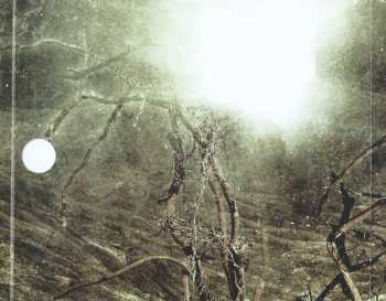 CD Dirge Within: Force Fed Lies