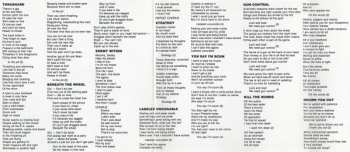 LP Dirty Rotten Imbeciles: Thrash Zone CLR | LTD