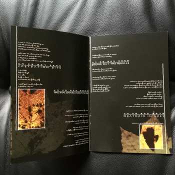 LP/SP Discordance Axis: The Inalienable Dreamless LTD | CLR