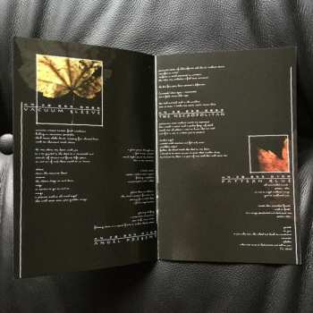 LP/SP Discordance Axis: The Inalienable Dreamless LTD | CLR