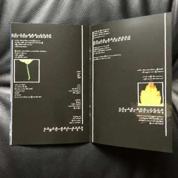 LP/SP Discordance Axis: The Inalienable Dreamless LTD | CLR