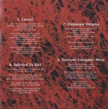 CD Disembodiment: Spiral Crypts