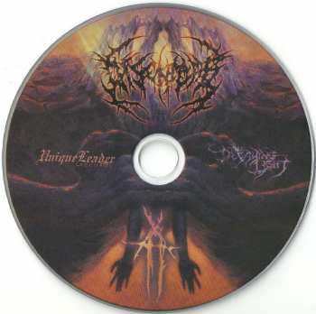 CD Disentomb: The Decaying Light DIGI
