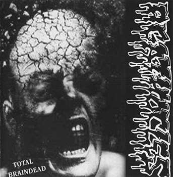 Album Disorder/agathocles: Split
