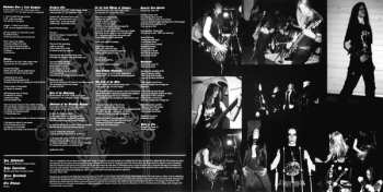 LP Dissection: The Past Is Alive (The Early Mischief) LTD