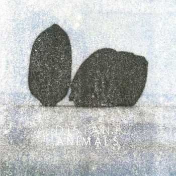 Album Distant Animals: Lines