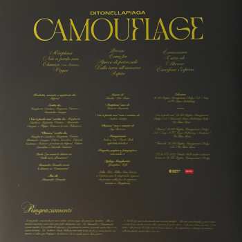 LP Ditonellapiaga: Camouflage