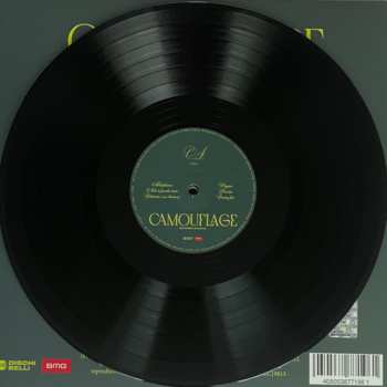 LP Ditonellapiaga: Camouflage