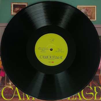 LP Ditonellapiaga: Camouflage