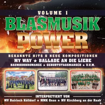 Diverse Interpreten: Blasmusik Power - Volume 1