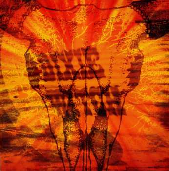 CD Dixie Witch: Into The Sun