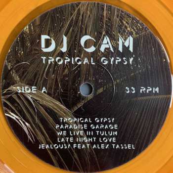 LP DJ Cam: Tropical Gypsy