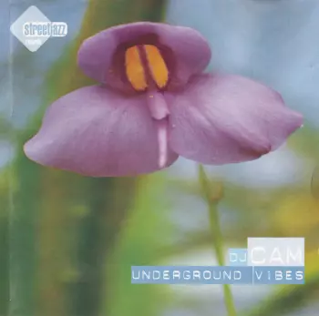 DJ Cam: Underground Vibes