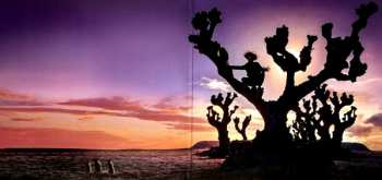 2LP/SP DJ Koze: Knock Knock