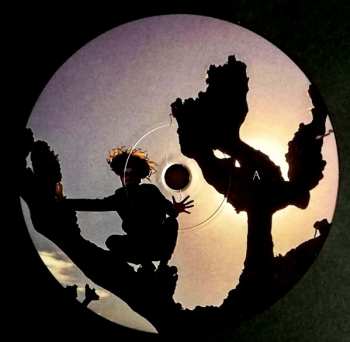 2LP/SP DJ Koze: Knock Knock