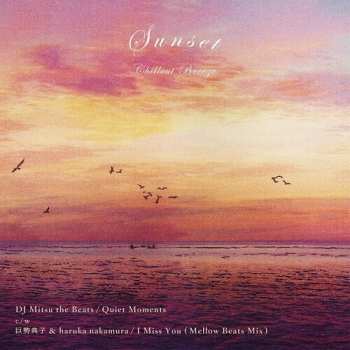 Album Haruka Nakamura: Quiet Moments / I Miss You (Mellow Beats Mix)