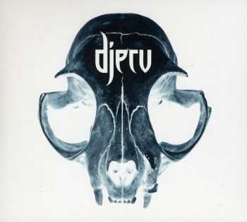 CD Djerv: Djerv