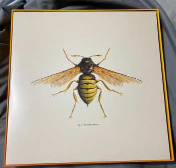 10LP/Dobozkészlet Doctor Who: Hornets' Nest CLR | LTD