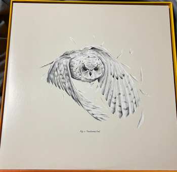 10LP/Dobozkészlet Doctor Who: Hornets' Nest CLR | LTD