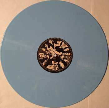 LP Dog Day: Concentration