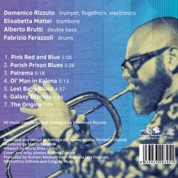 CD Domenico Rizzuto: The Music of Tony Slim Dominick