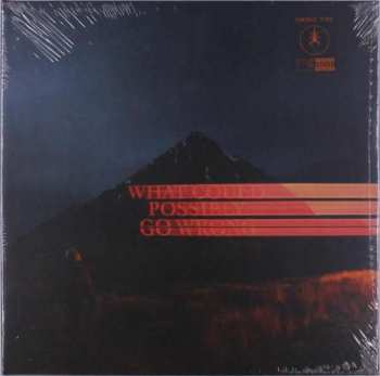 LP Dominic Fike: What Could Possibly Go Wrong