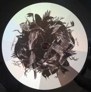 3LP Dominik Eulberg: Avichrom