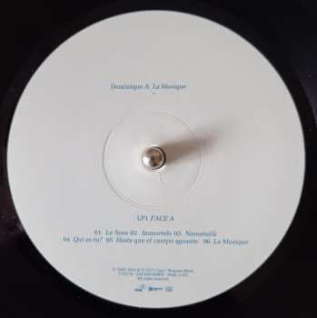 2LP Dominique A.: La Musique / La Matière