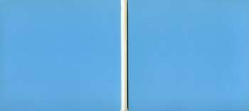 CD Don Caballero: Gang Banged With A Headache And Live DIGI