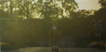 CD Dope Lemon: Smooth Big Cat