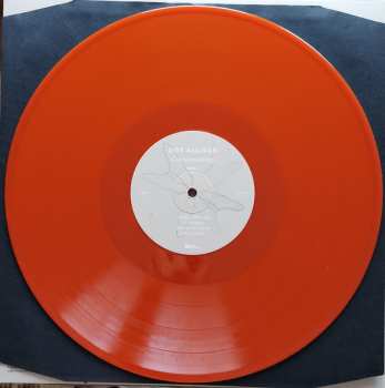 LP Dot Allison: Consciousology CLR | LTD