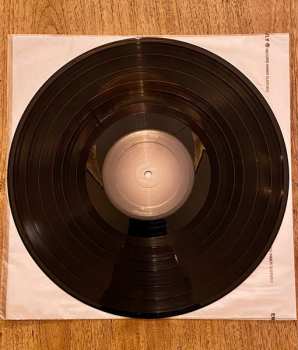 LP Dotan: A Little Light in the Dark