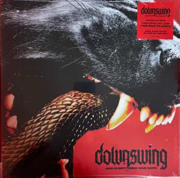Album Downswing: And Everything Was Dark