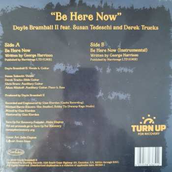 SP Doyle Bramhall II: Be Here Now