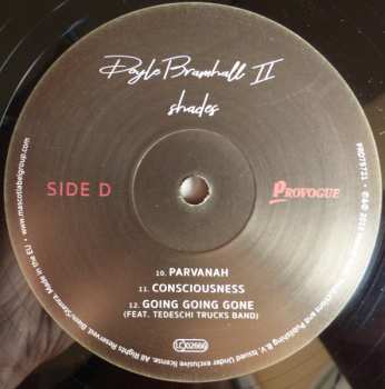 2LP Doyle Bramhall II: Shades