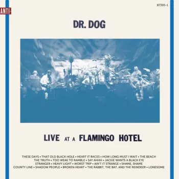 Dr. Dog: Live At A Flamingo Hotel