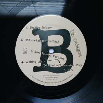 2LP Dr. Octagon: Dr. Octagonecologyst