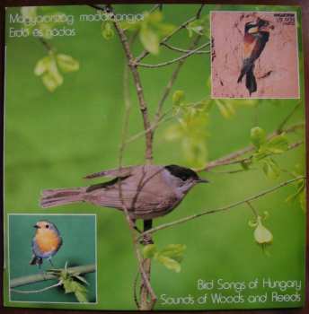 Album Dr. Ország Mihály: Magyarország Madárhangjai - Erdő És Nádas / Bird Songs Of Hungary - Sounds Of Wood And Reeds