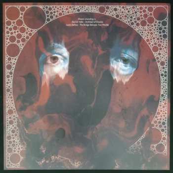 LP Dream Unending: Song Of Salvation CLR
