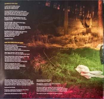 LP Drenge: Undertow