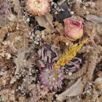 Album Drowse: Cold Air