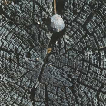 CD Družina: Tragare