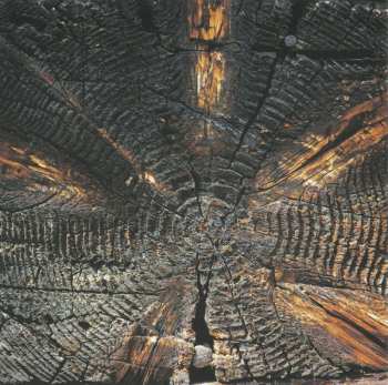 CD Družina: Tragare