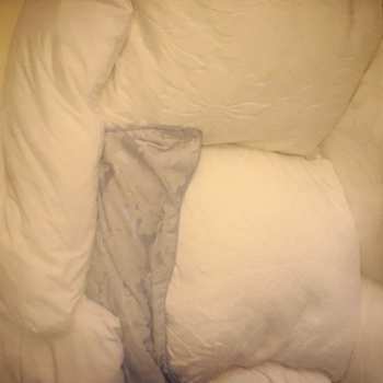 LP Dry Cleaning: New Long Leg