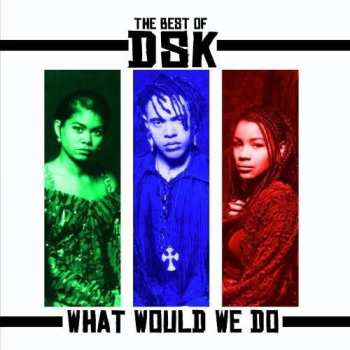 Album DSK: Best Of: What Would We Do